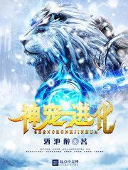 神宠进化最新爆料