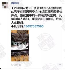 最新网友爆料视频大全集,最新网友爆料视频大全集深度解析